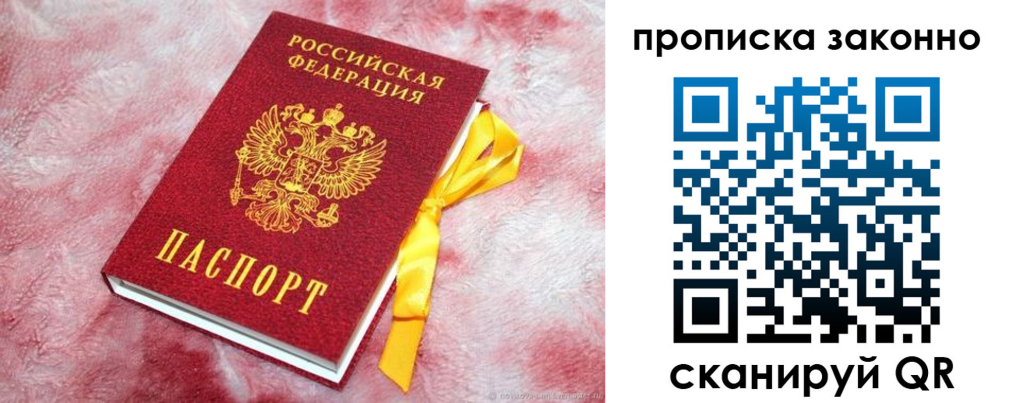 временная регистрация поиск в Лосино-Петровском
